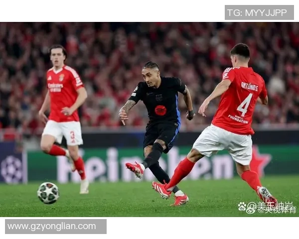 本菲卡与里昂历史交锋回顾及战绩分析