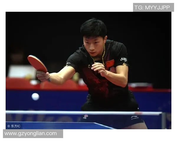 波茨与李赫文的精彩对决揭示乒乓球新战术与竞技精神的碰撞