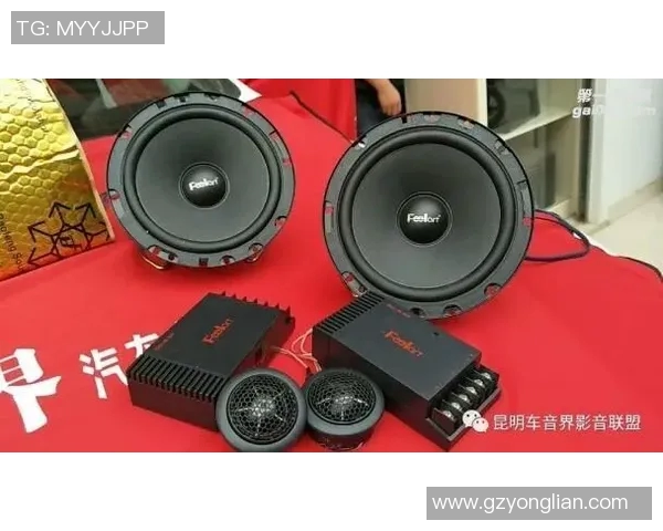 伯顿功放VS6评测：音质表现与功能对比分析，谁才是音响界的王者